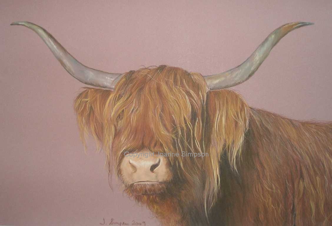 Highland Cow pet portrait by Joanne Simpson.